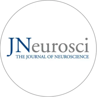 The Brain Song Program