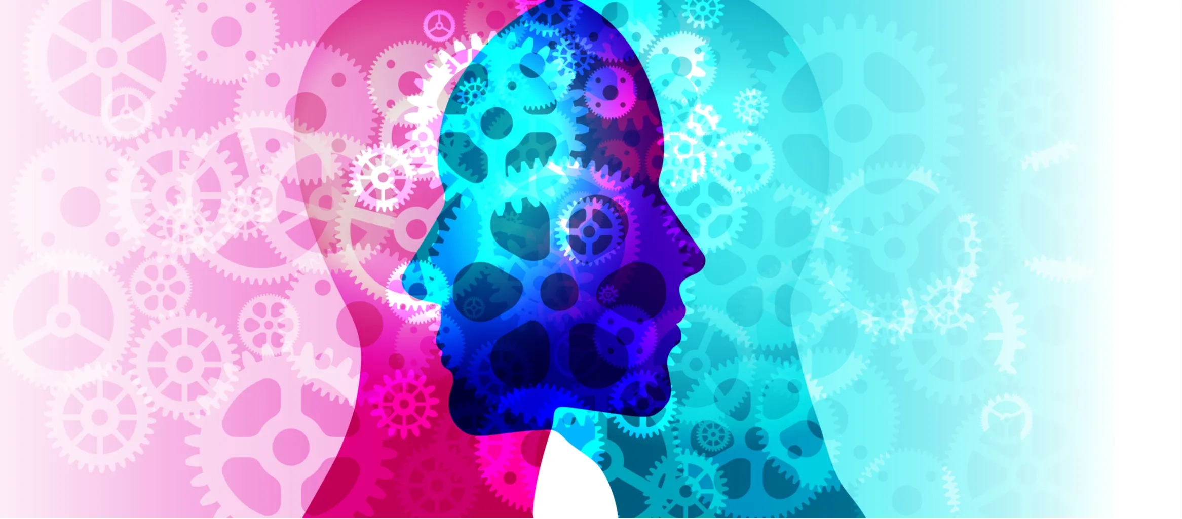 The Brain Song Program